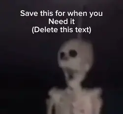 FlySkeleton Reaction