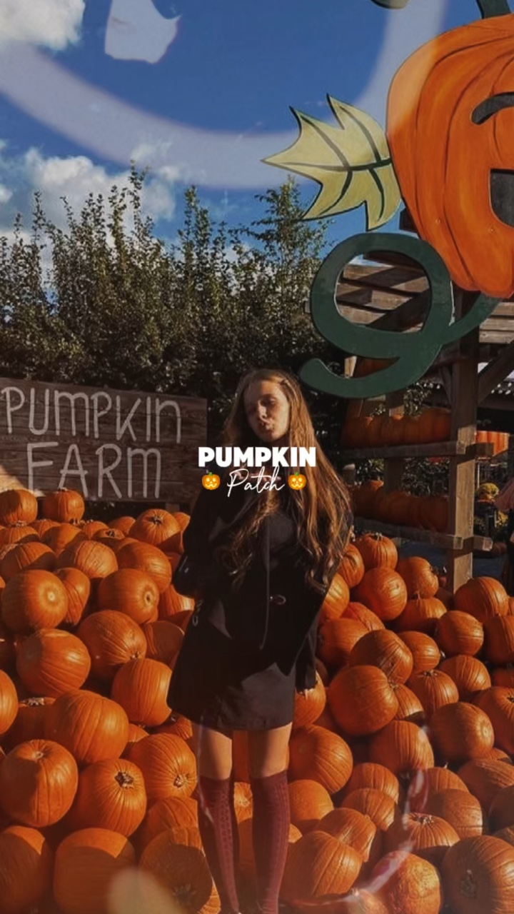 Volcado de parche de calabaza 🎃