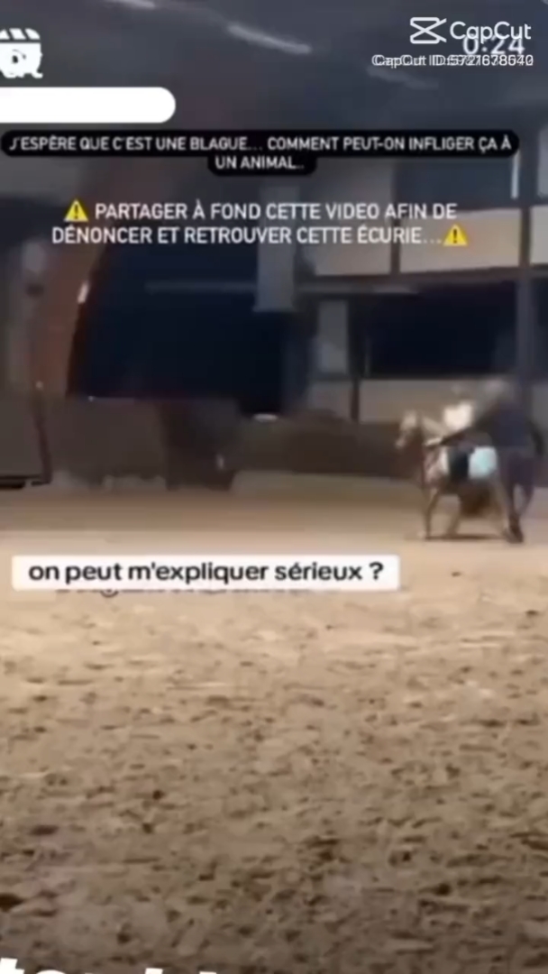 Faites Tournez ! 