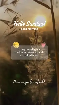 Hello Sunday 