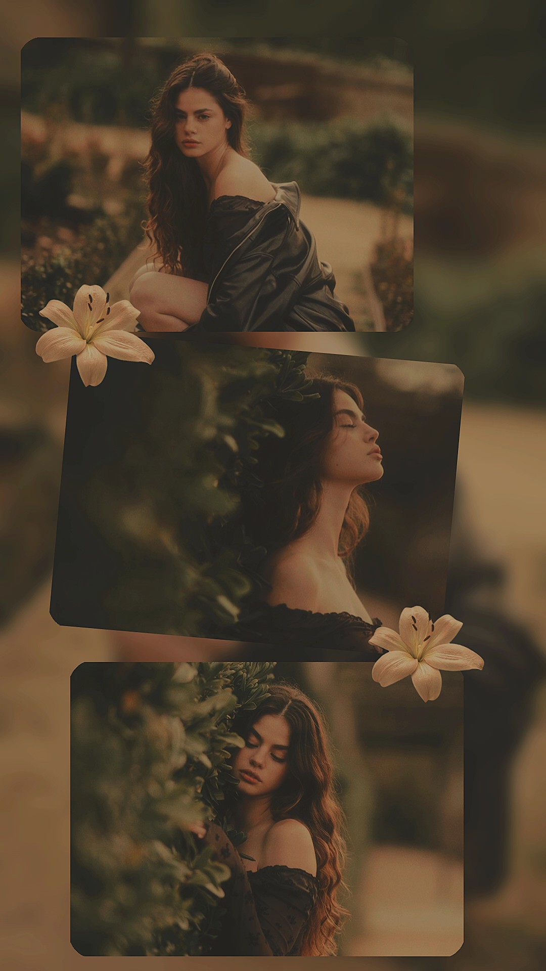 Cover Picture