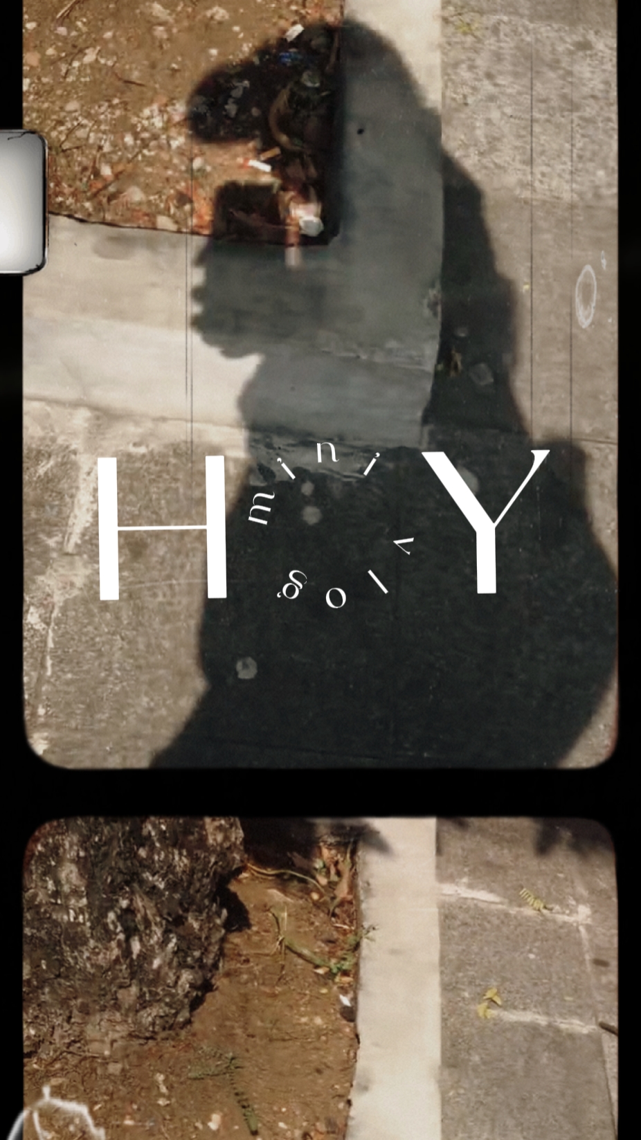 H O Y | V L O G