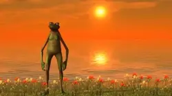 Allah diyen kurbağa