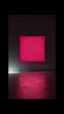 Momenti carini che scorrono morbidi