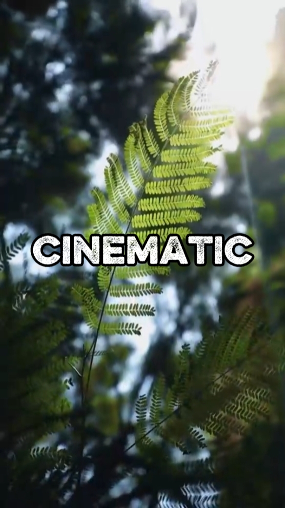 FOTO / VIDEO KINEMATIK