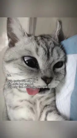 Caption + Màu