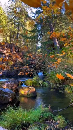 autumn