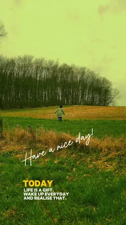 Have a nice day❤️