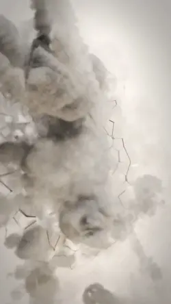 destroyed portrait²⁹