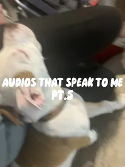Audios pt.5
