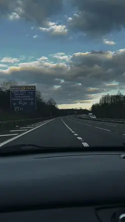 ROAD TRIPS