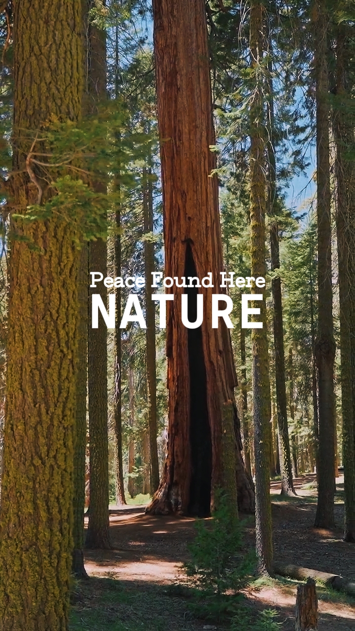 Natureza