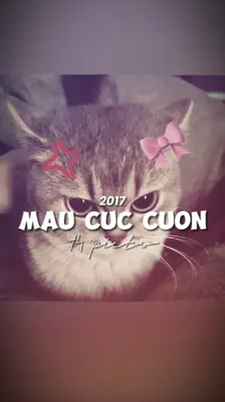 BEAT 14ẢNH NHẸ NHÀNG