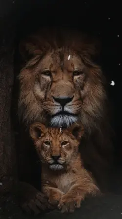 pai e filho