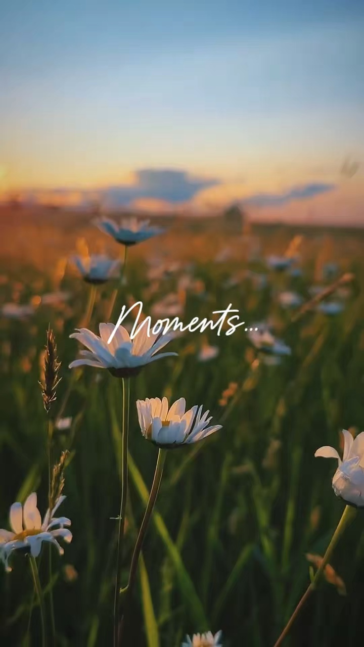 Moments