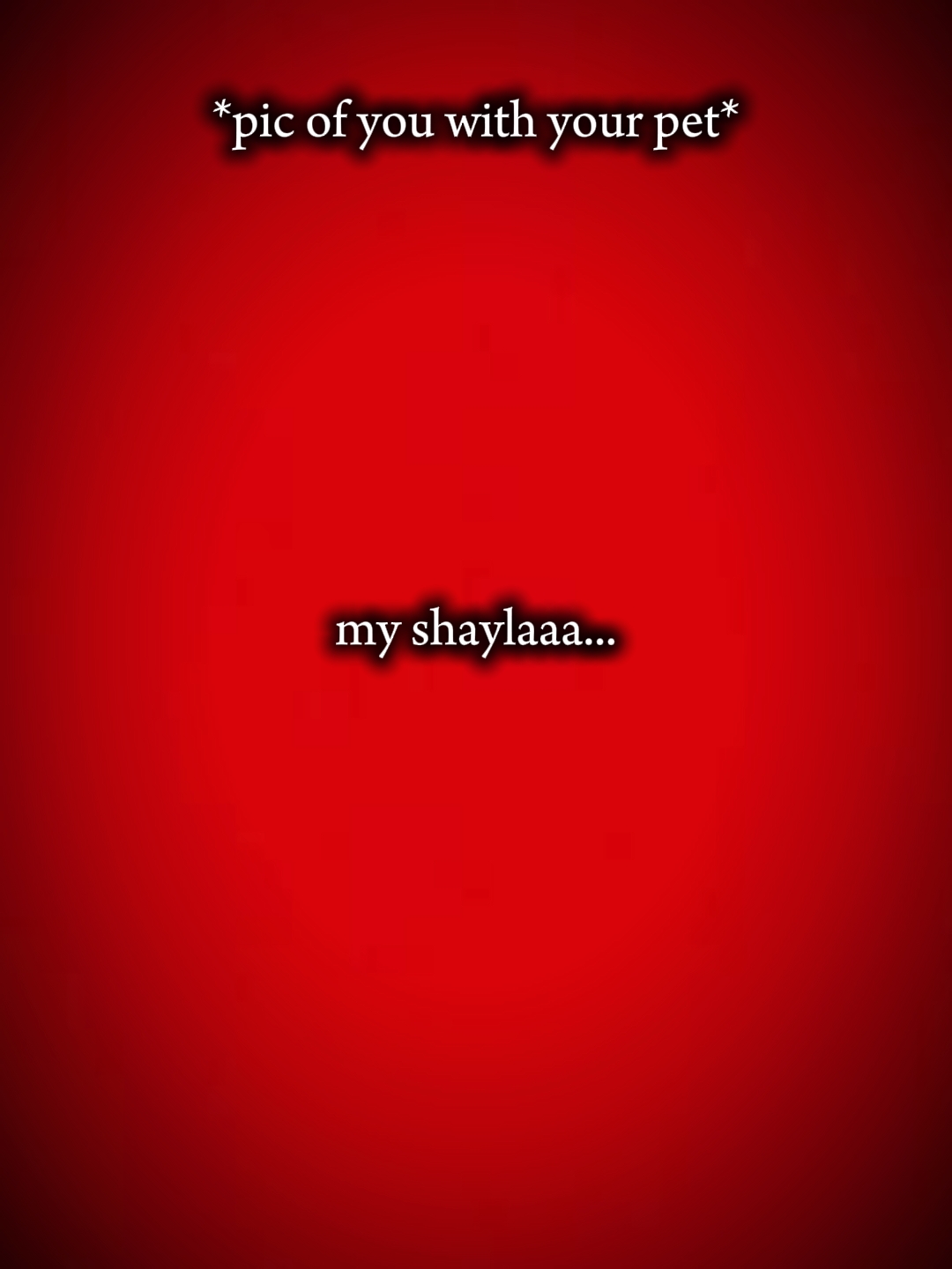my shaylaaa 