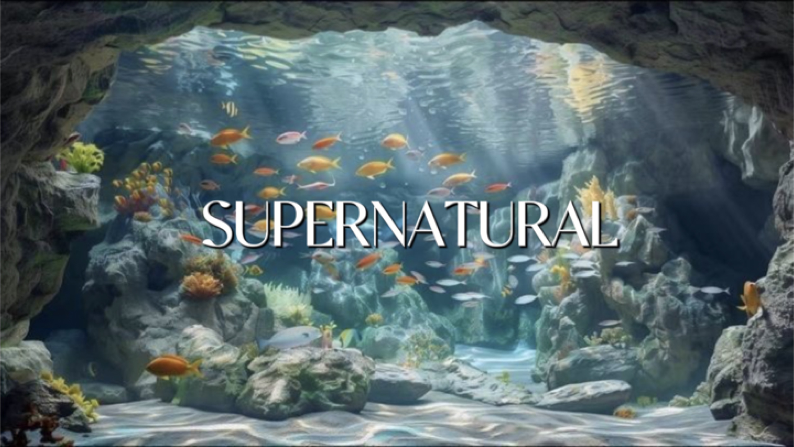 M￫ u ngang 