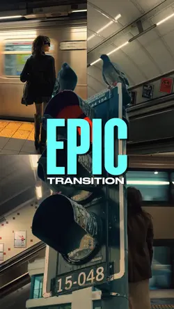 Epic Transition 