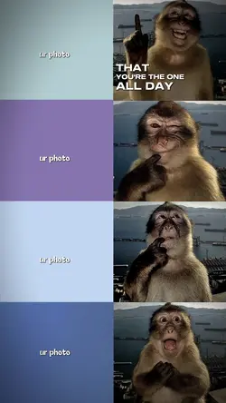 Poto With Monkey