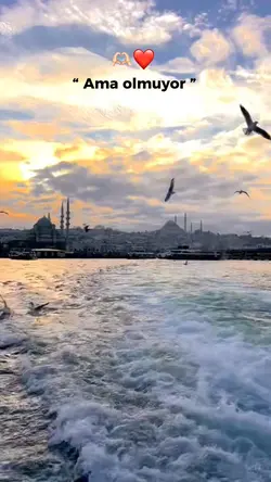 Aşk misali 🫶🏻❤️