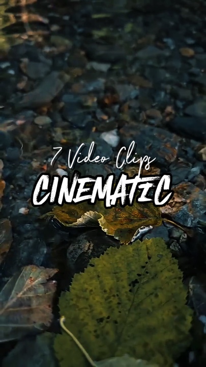 7 video clips 