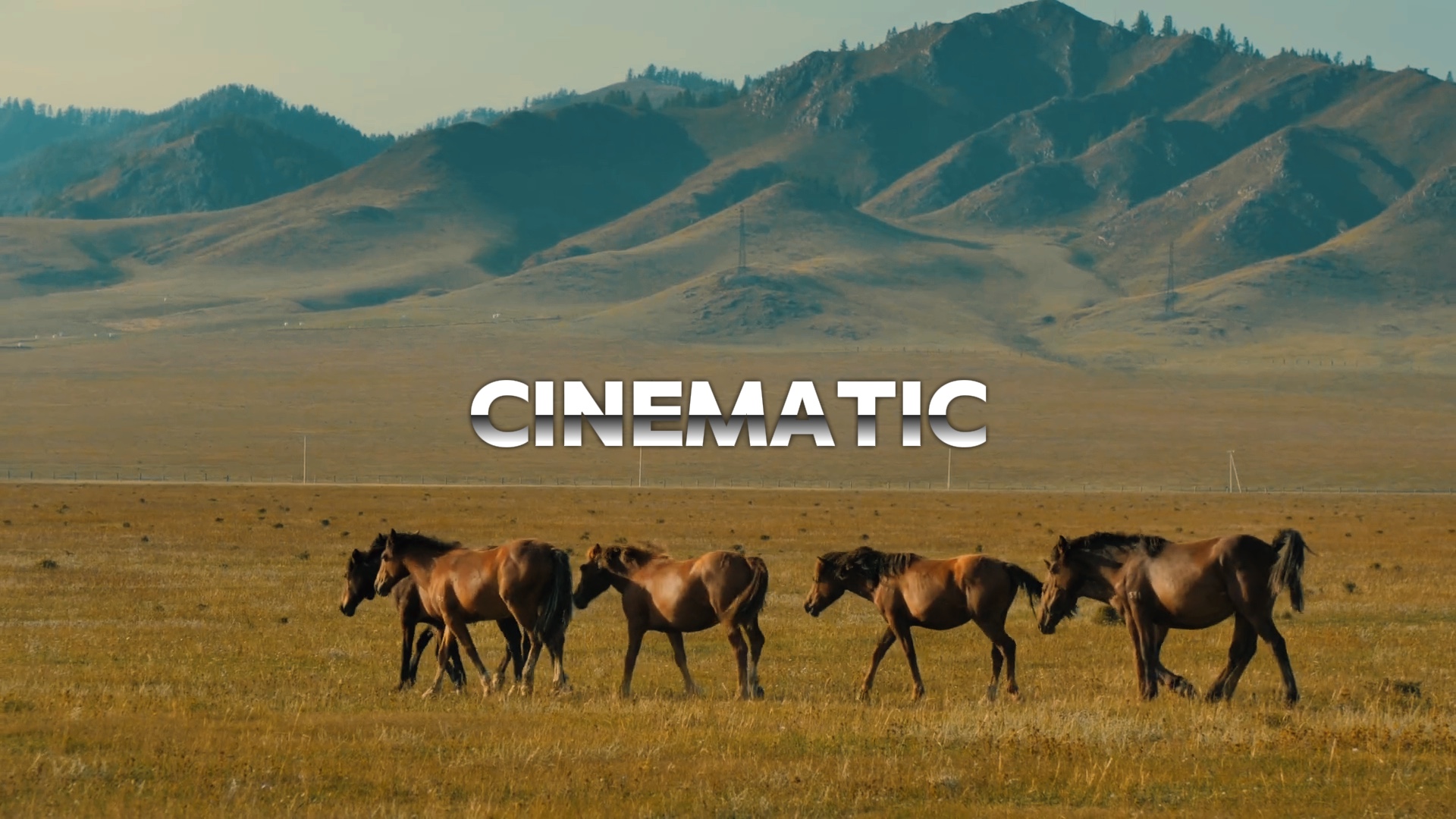 PAYSAGE CINÉMATIQUE 