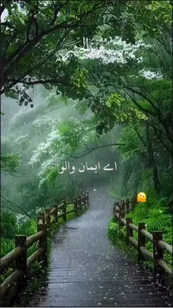 New video filter