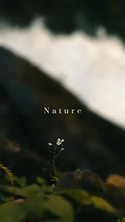 Nature.