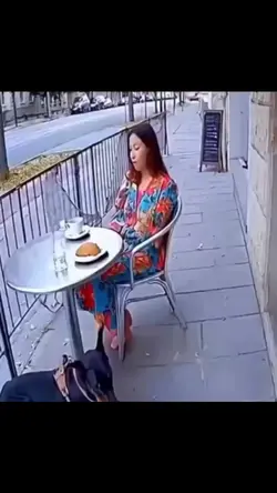 Dogs kindness 