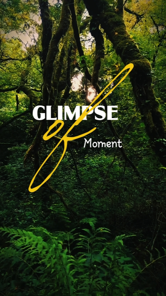 glimpse of moment