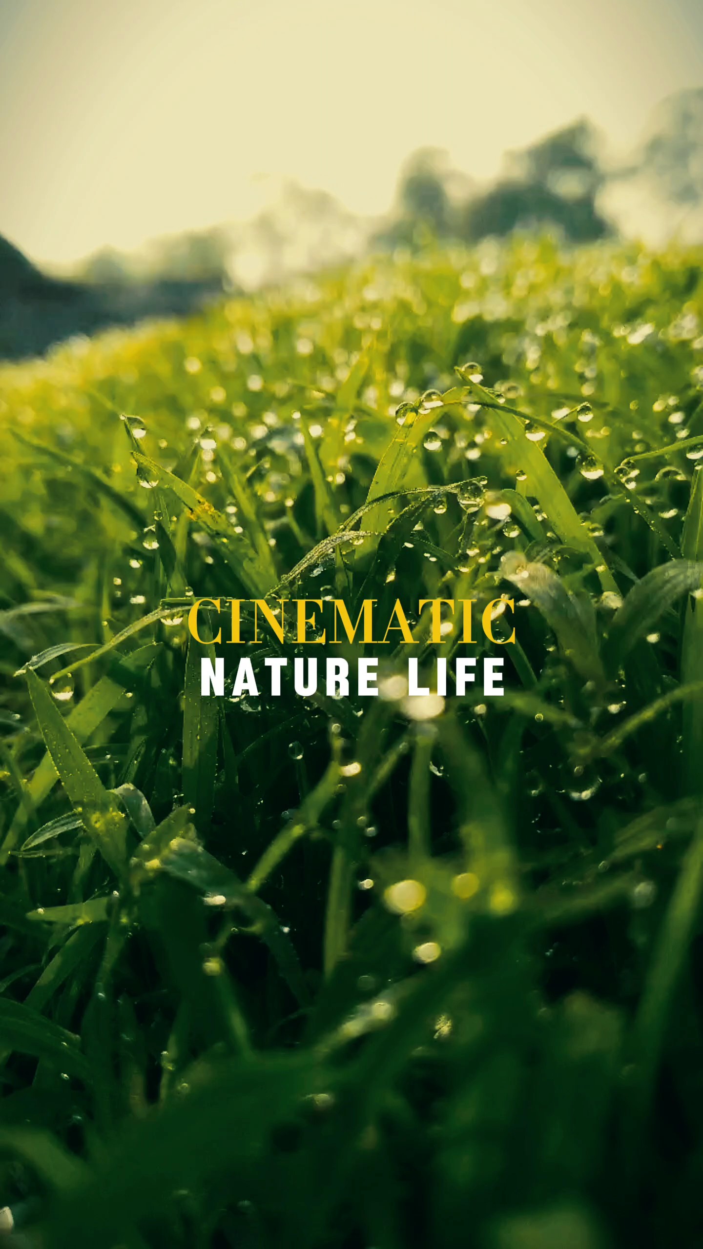 VIDA DE LA NATURALEZA