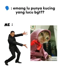 emang lu punyakucing