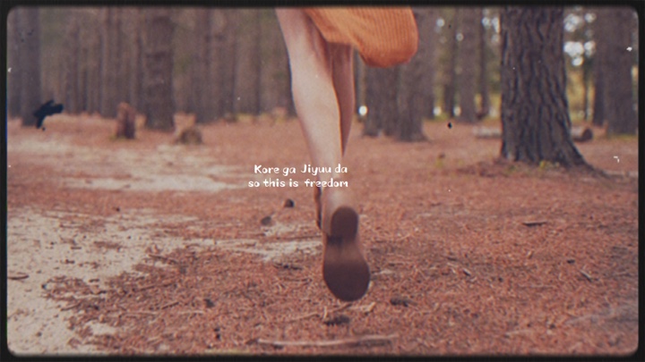 Freedom