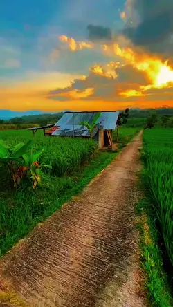 Nature Lover