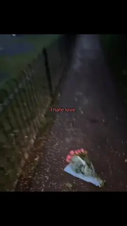 I hate love .