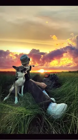 临江创作的原声