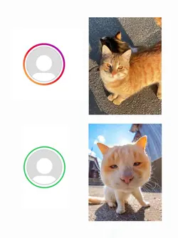 ig vs wa trend?