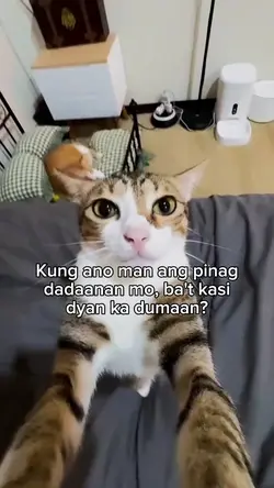 Kung ano man ang pin