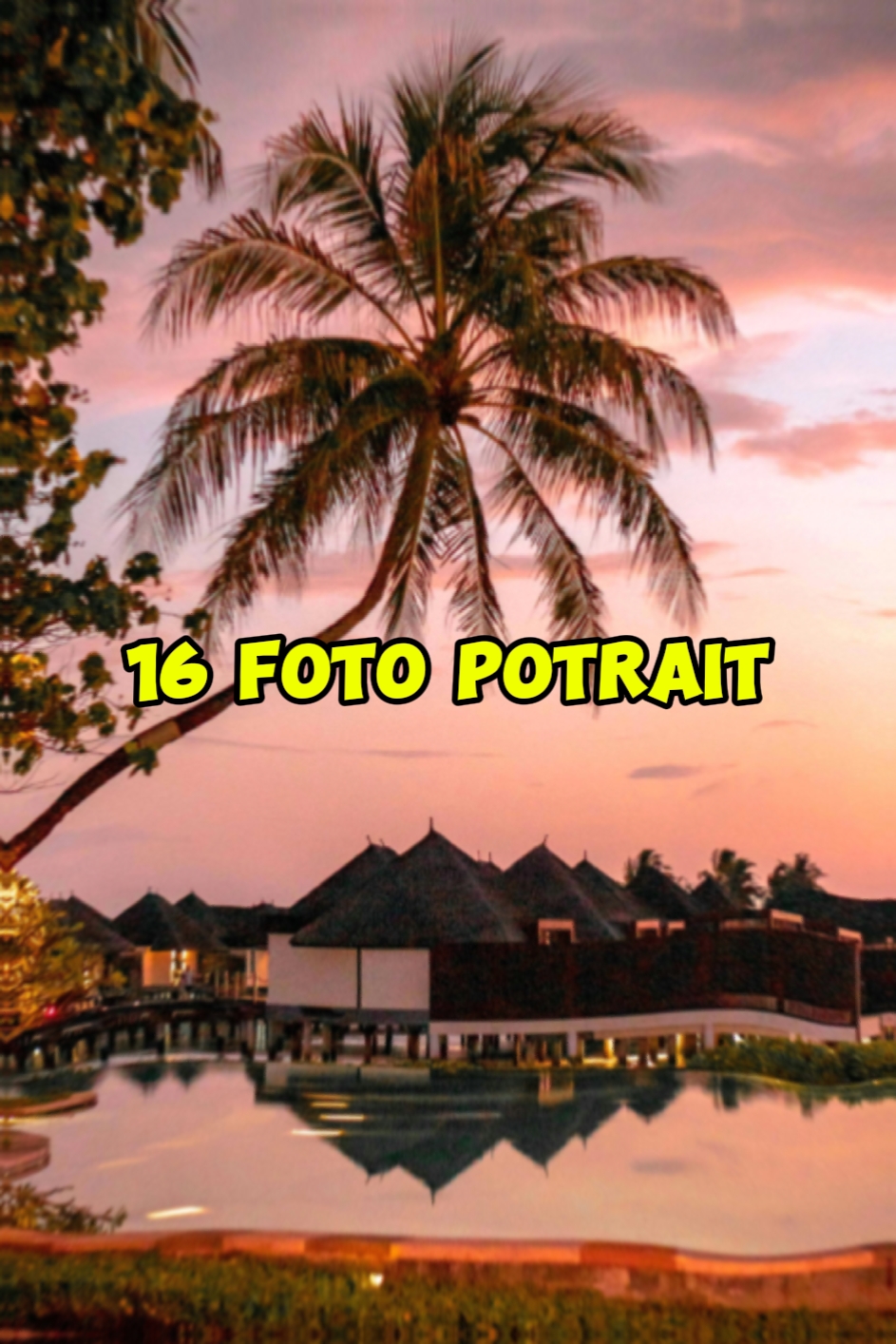16 photos potrait