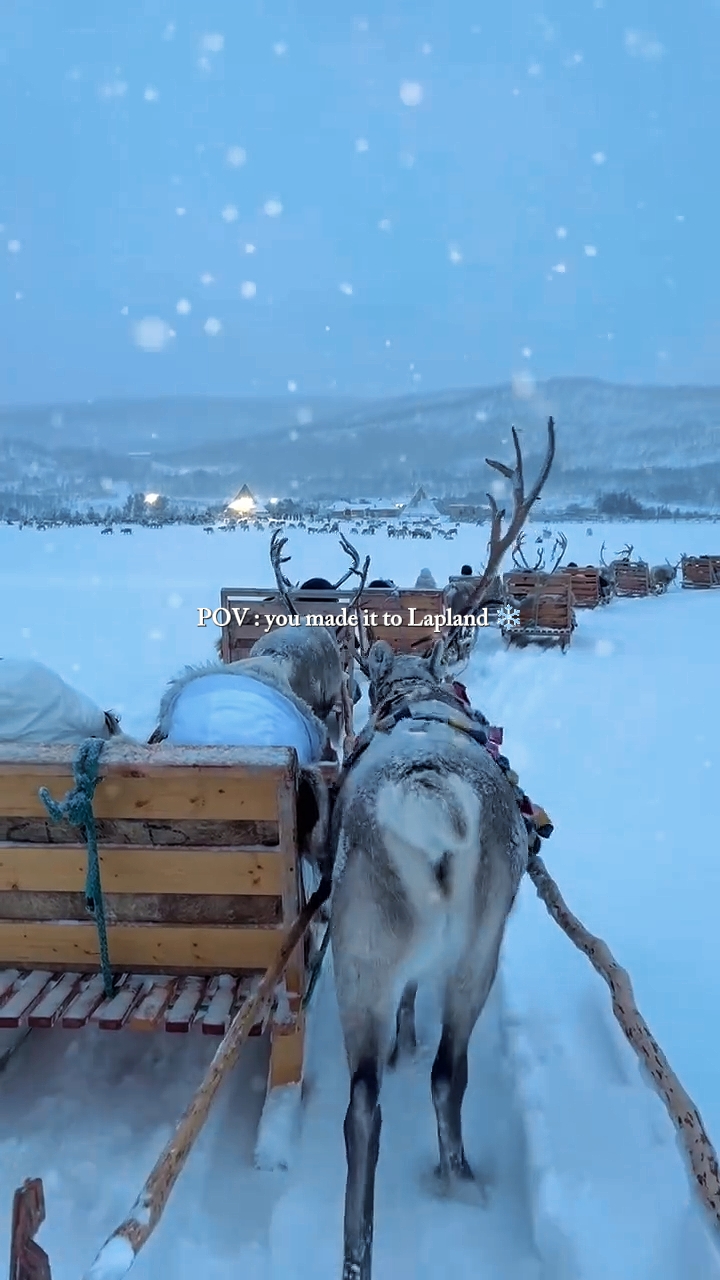 L'hiver en Laponie 