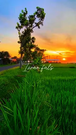 Iwan fals 