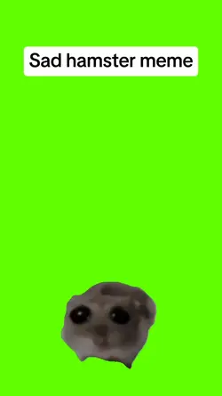Sad hamster meme