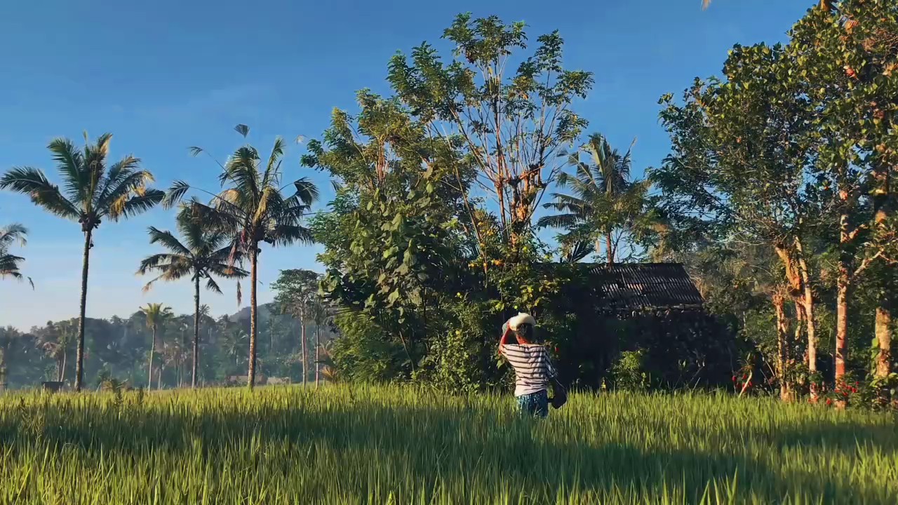 Cinematic 5 video 