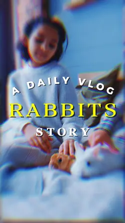 Rabbits Story