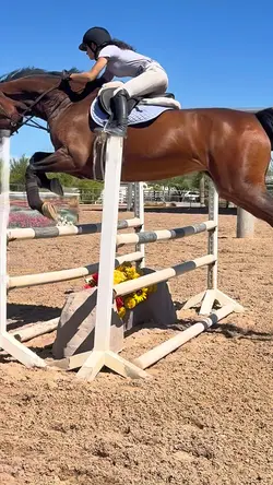 Woah🤩NOT REAL/FAKE⚠️