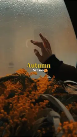 Autumn Season