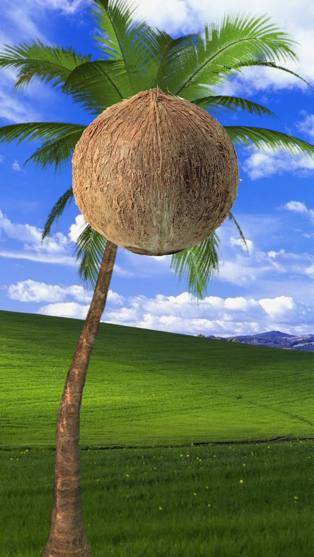 FELIZ ANIVERSÁRIO ENGRAÇADO