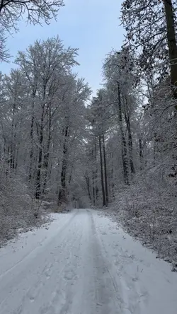 Winter-wonderland