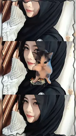 JJ KICAU MANIA TREND