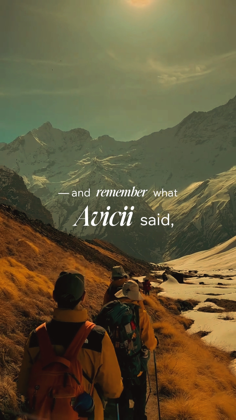 Avicii said | vlog